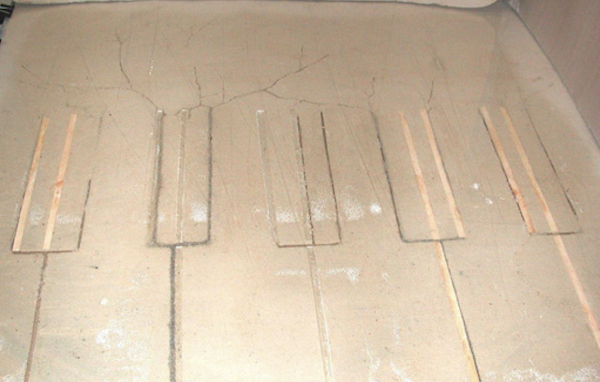 Termite foraging trail study