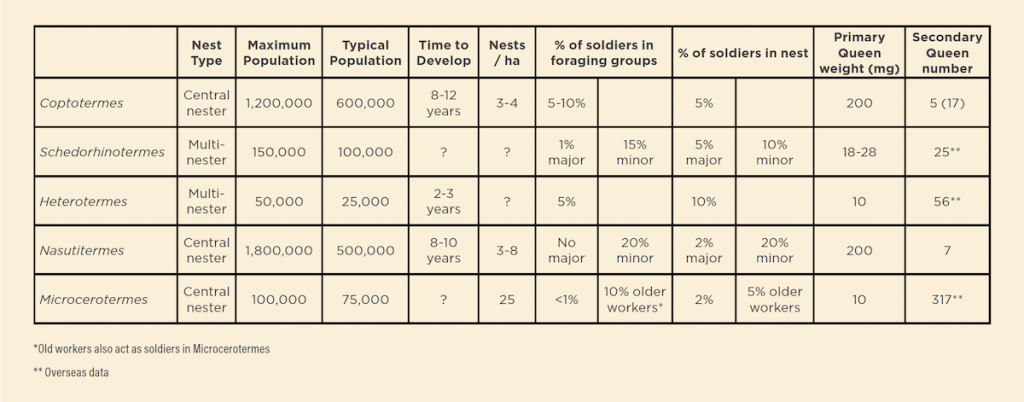 Termite species colony comparisons