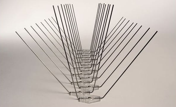 Avipoint metal bird spikes